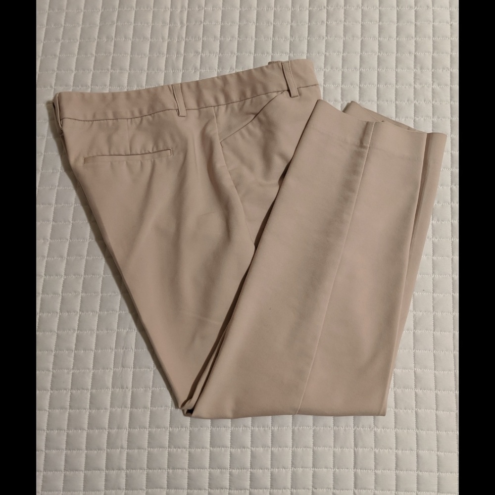 Express | Blush Dress Pants